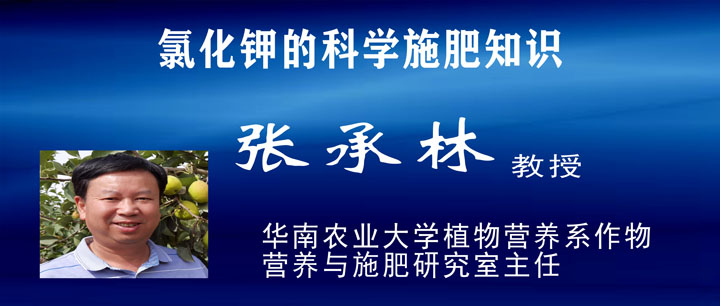 2020產(chǎn)業(yè)發(fā)展高峰論壇(六):氯化鉀的科學(xué)施肥知識(shí)